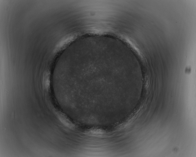 X0000102230685200807251235