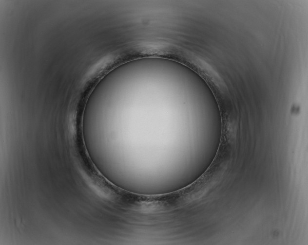 X0000102230686200807251235