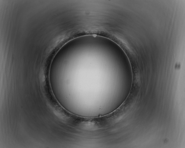 X0000102230687200807251235