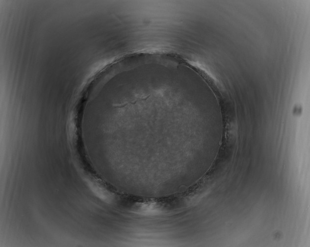 X0000102230688200807251235
