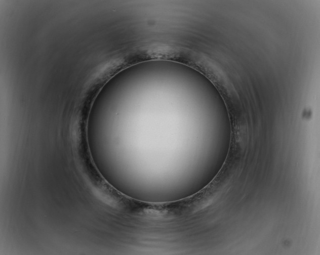 X0000102230690200807251235
