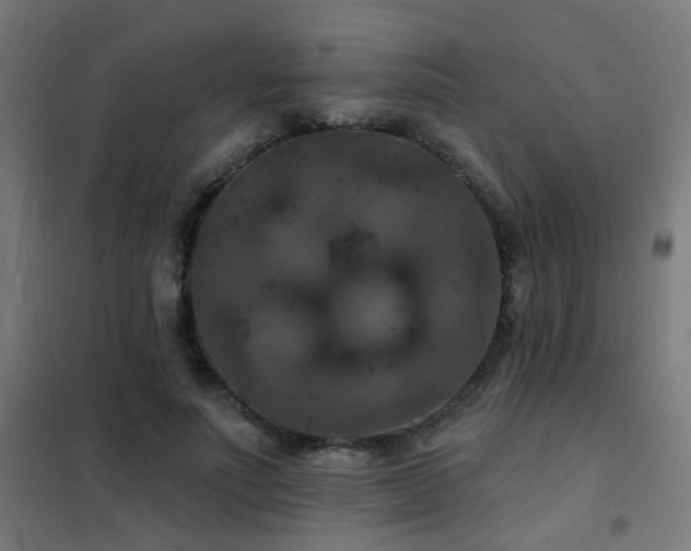 X0000102230691200807251235