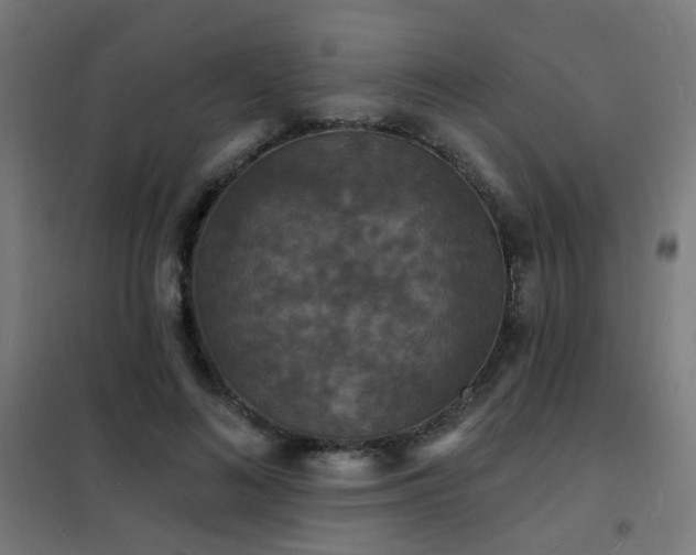 X0000102230692200807251235