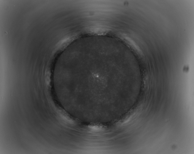 X0000102230693200807251235