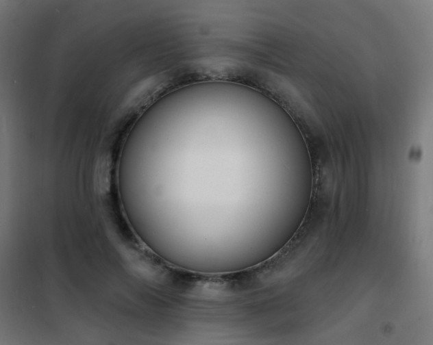 X0000102230694200807251235