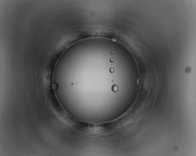 X0000102230695200807251235
