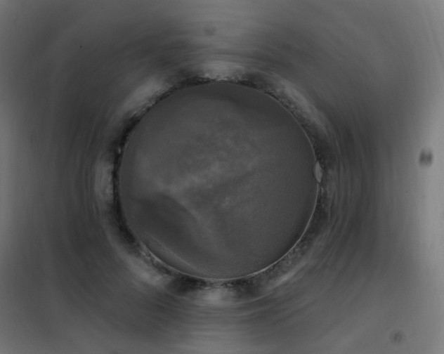 X0000102230696200807251235