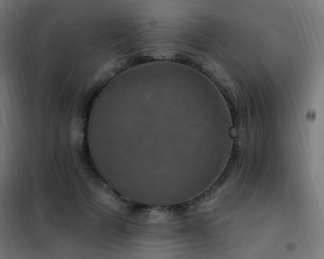 X0000102230697200807251235