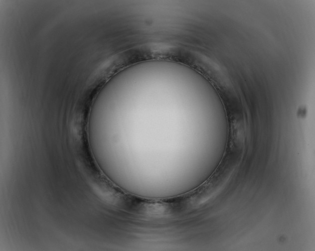 X0000102230698200807251235
