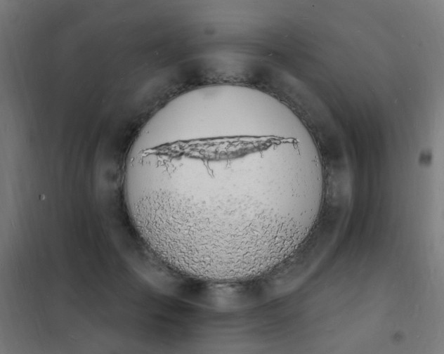 X0000102230701200807251235