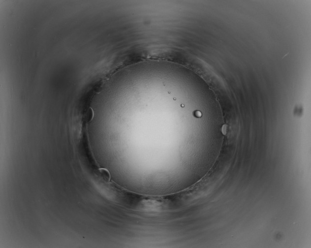 X0000102230703200807251235
