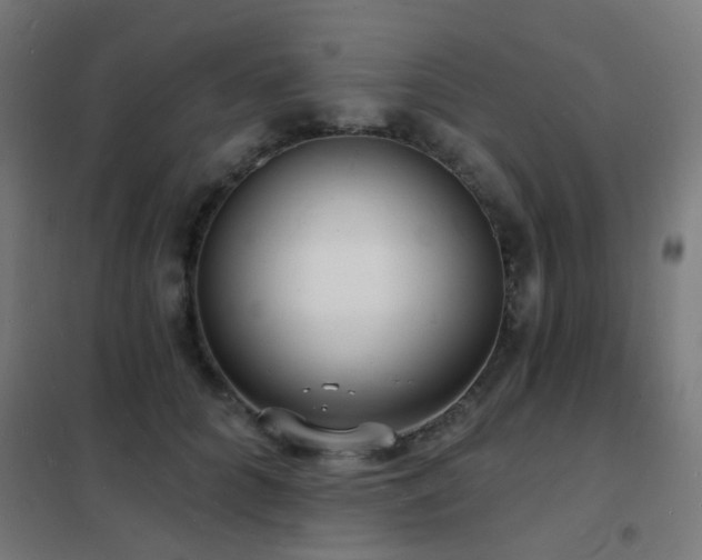 X0000102230704200807251235