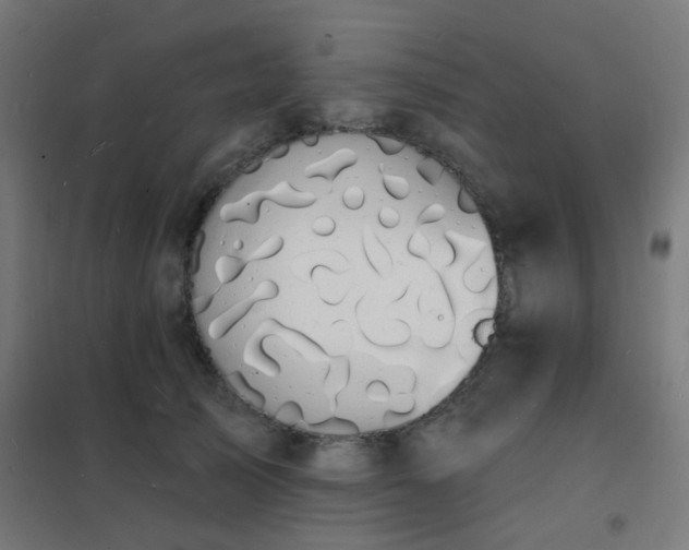 X0000102230705200807251235