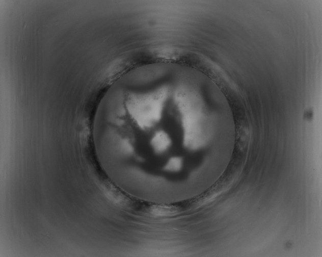 X0000102230707200807251235