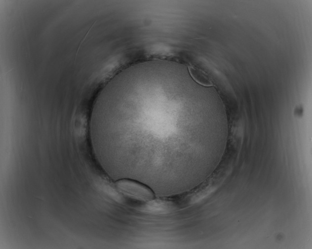 X0000102230708200807251235