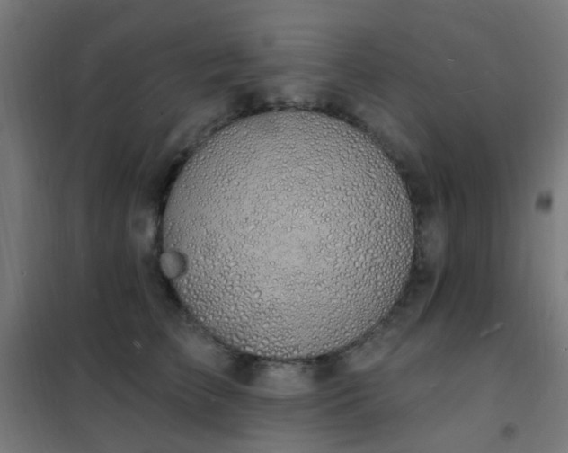 X0000102230709200807251235