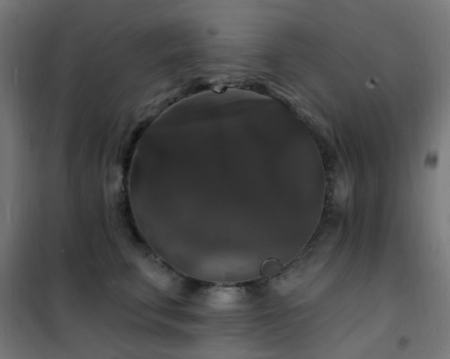 X0000102230711200807251235