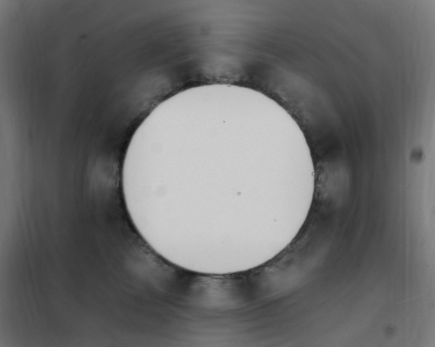 X0000102230713200807251235