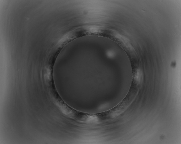 X0000102230715200807251235