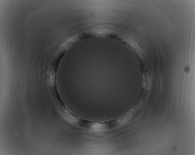 X0000102230718200807251235