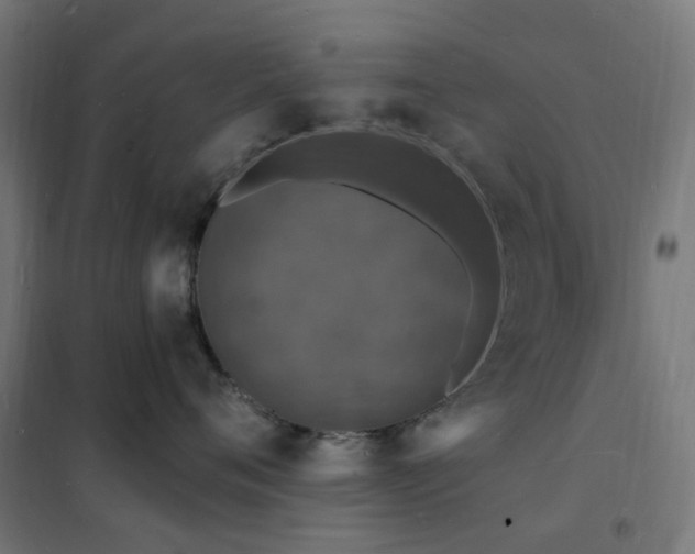 X0000102230720200807251235