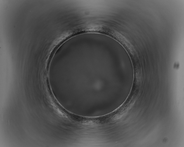 X0000102230721200807251234