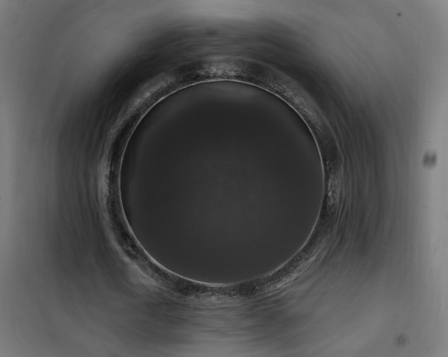 X0000102230722200807251234