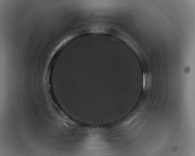 X0000102230723200807251234