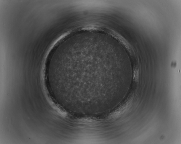 X0000102230724200807251234