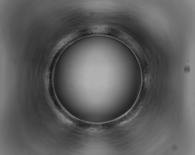 X0000102230725200807251234