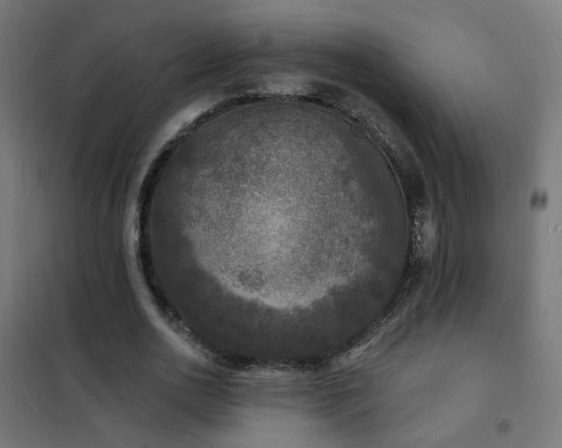 X0000102230726200807251234