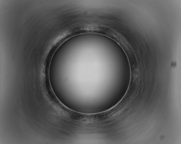 X0000102230727200807251234