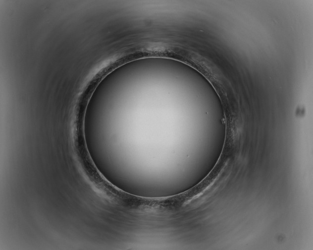 X0000102230728200807251234