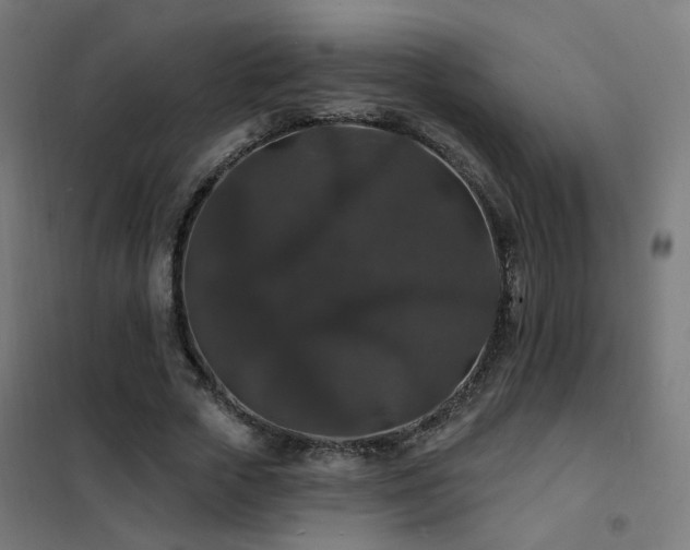 X0000102230729200807251234