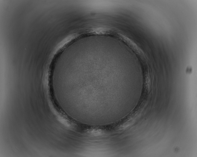 X0000102230730200807251234