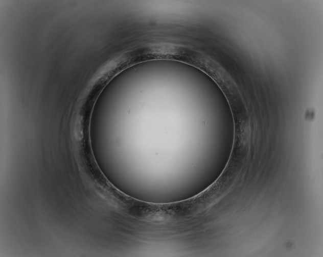 X0000102230731200807251234