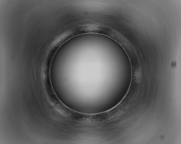 X0000102230732200807251234