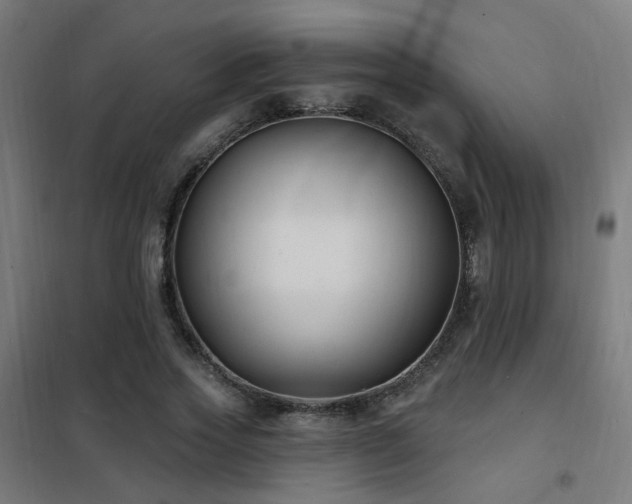 X0000102230733200807251234