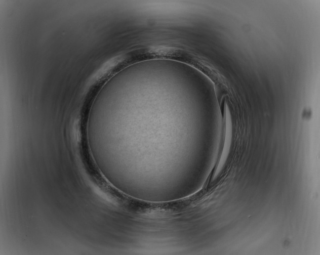 X0000102230734200807251234