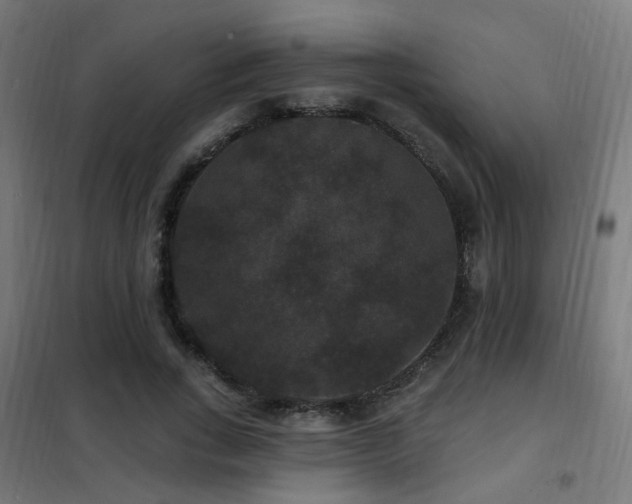 X0000102230735200807251234