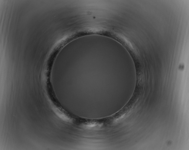 X0000102230736200807251234