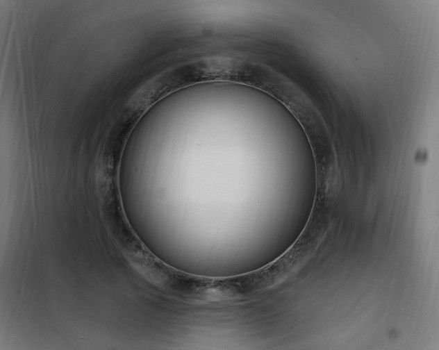 X0000102230737200807251234