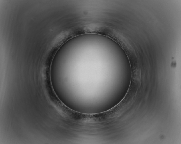 X0000102230738200807251234
