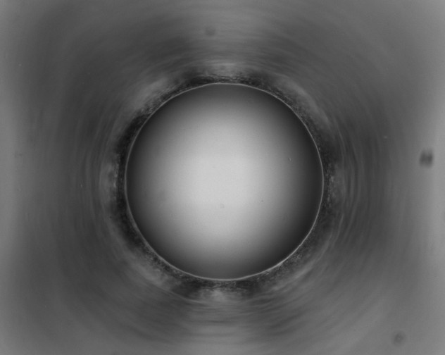 X0000102230739200807251234
