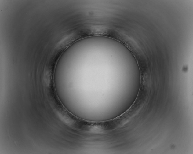 X0000102230741200807251234