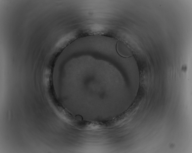 X0000102230742200807251234