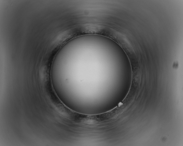 X0000102230743200807251234