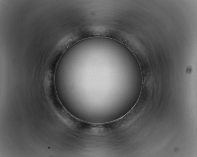 X0000102230744200807251234
