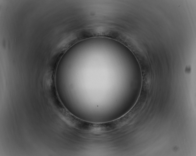 X0000102230746200807251234