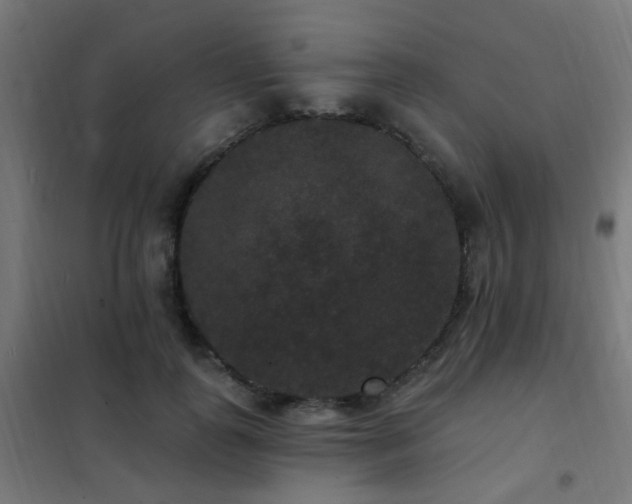 X0000102230747200807251234